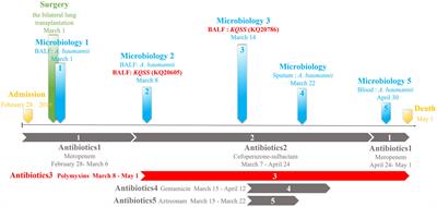 Within-host acquisition of colistin-resistance of an NDM-producing Klebsiella quasipneumoniae subsp. similipneumoniae strain through the insertion sequence-903B-mediated inactivation of mgrB gene in a lung transplant child in China